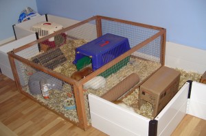 guinea pig houses