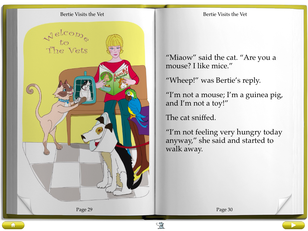 Bertie Guinea Pig book - Bertie Visits the Vet